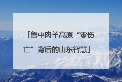 鲁中肉羊高原“零伤亡”背后的山东智慧